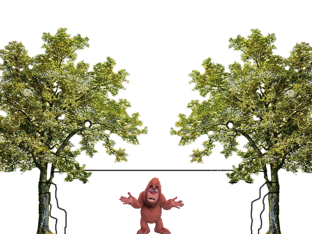In the Shadows:Low-tech Tools in Bigfooting